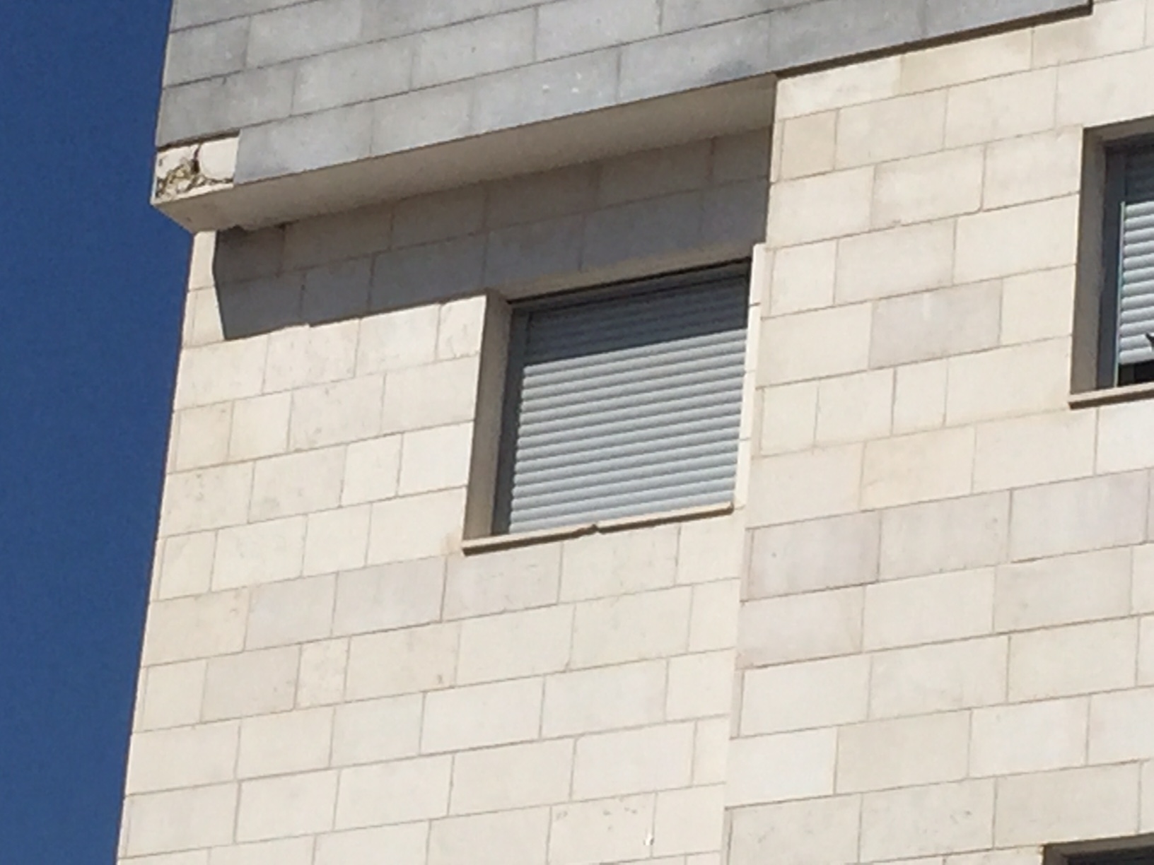 גינדי בשוהם