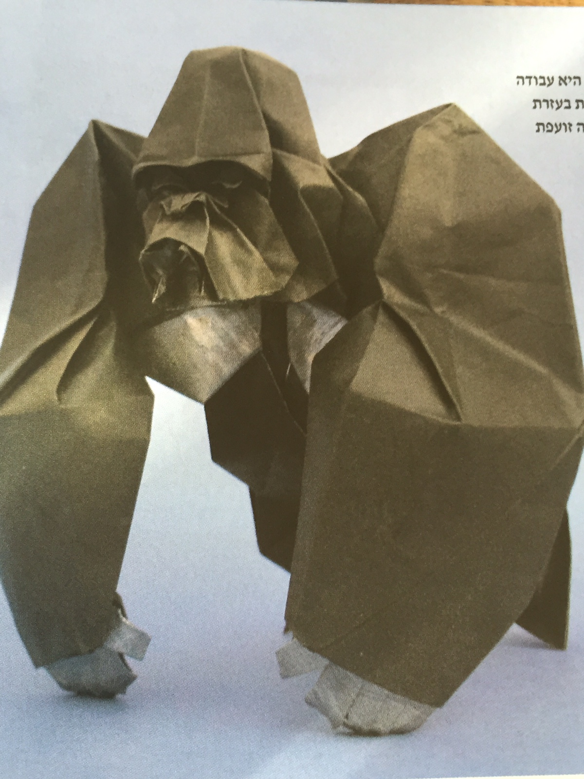 גורילה, עבודת אוריגמי של אייל ראובני